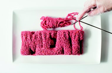 Next Nature Network - Knitted Meat.jpg