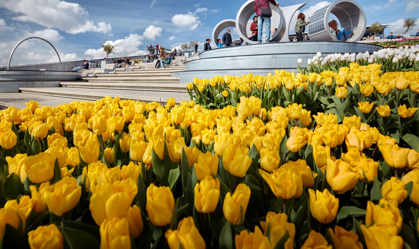 Tulp Festival op dak van NEMO